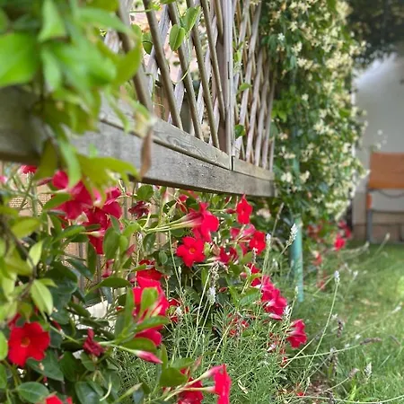 Dom wakacyjny Kuca Aurora Rovinj