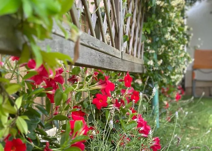 Σπίτι διακοπών Kuca Aurora Ρόβινι